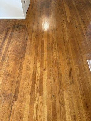 I&M Cleaning & Detailing