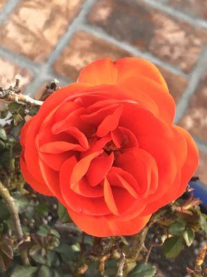 Pacific Coast Produce