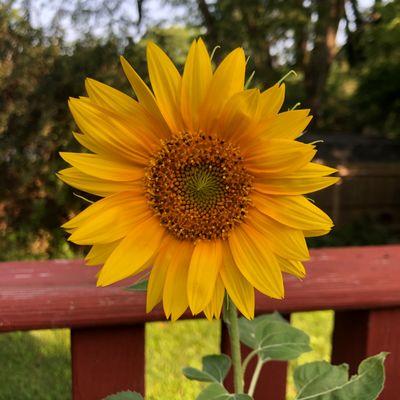 Check out our CBD shop at www.medicalmpa.com/shop