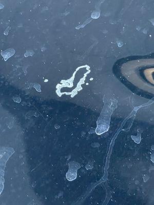 Car delivered to me filthy