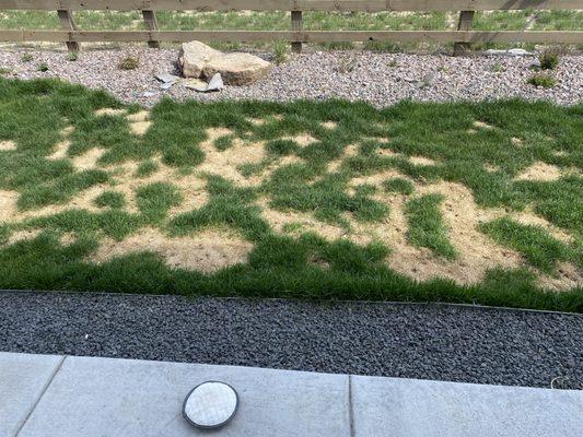 Thrive Lawn Solutions Inc