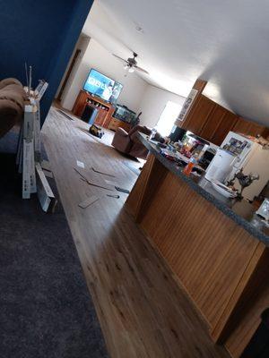 Matt's Home Improvements