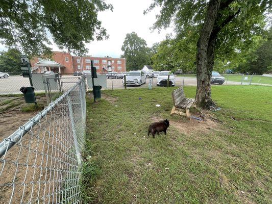 This is our 132nd dog park, I think, I'm losing track - July 2021.