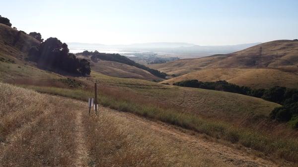 Newell Canyon Preserve