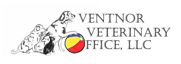 Ventnor Veterinary Office