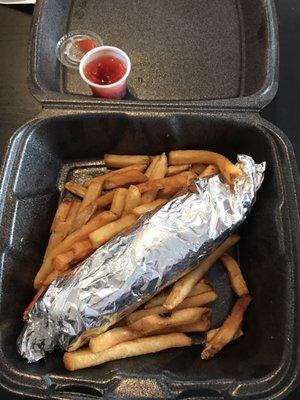 Gyro and Fries