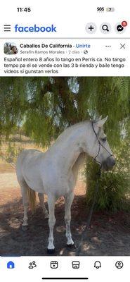 Beehive Homes of Hurricane