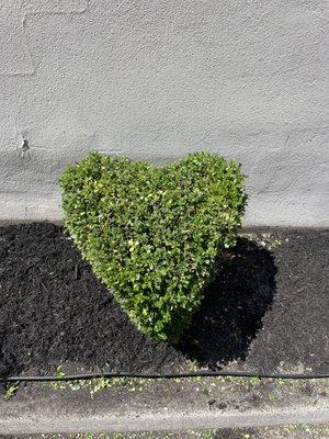 EAG Maintenance - EAGLE Landscaping & Lawn Care