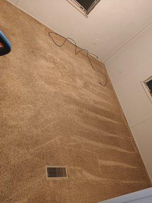 Amanda Carpet Cleaning
