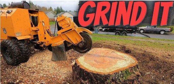 Martin’s Tree Service