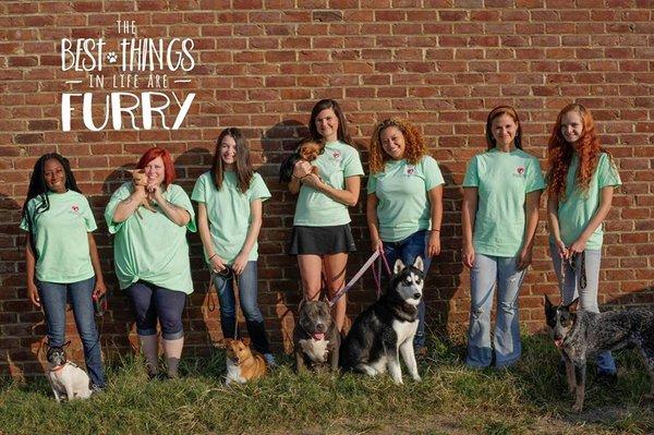 Tender Love & Pet Care