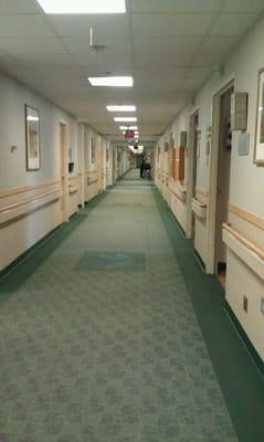 Borgess Health Alliance