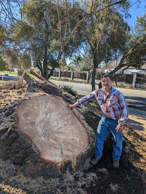 Ed with our pine tree stump