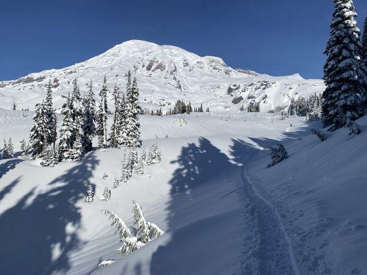 Mt Rainier national park: the view from Paradise