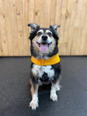Kannon wearing a life jacket they provided