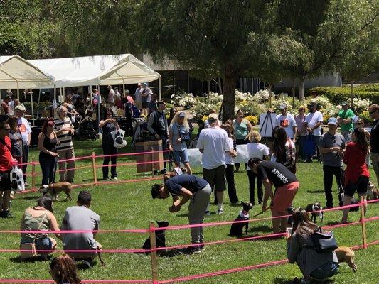 Sitting Challenge Contest