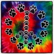 Peace Paws