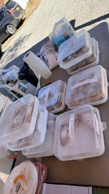 Baklava, turnovers and puff pastries