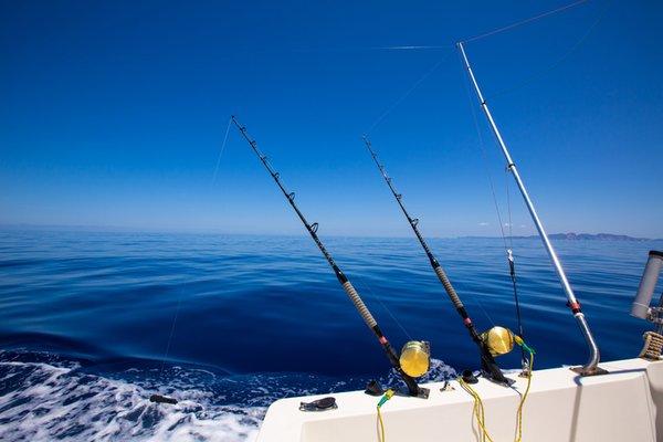 Captain Jason Stock Fishing Charters