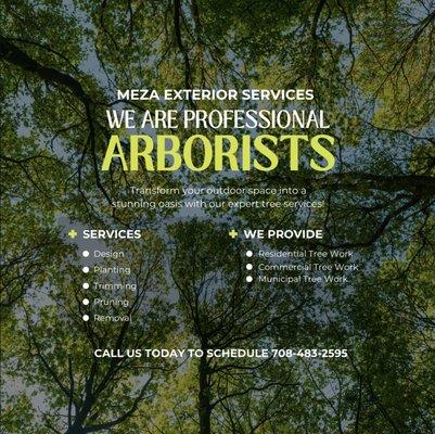 Meza Exterior Services