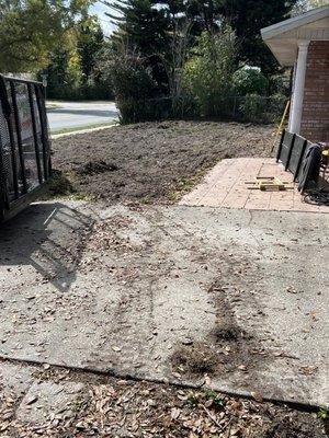 Hedges and tree stumps removed