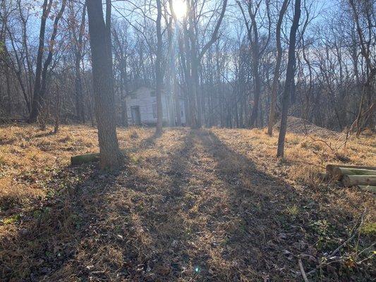 Climber Tree Services