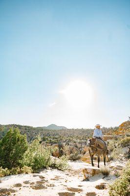 Western Horseback Trail Rides