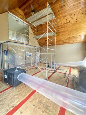 Green Guard Mold Remediation of Edison