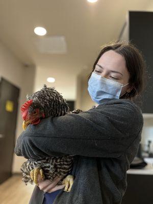 Heritage Oaks Animal Hospital