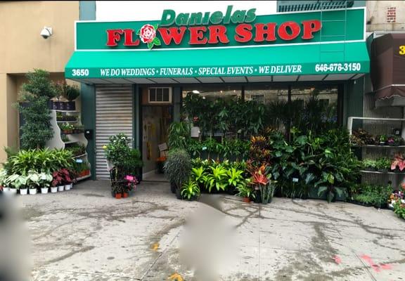 Daniela's Flower Shop II
