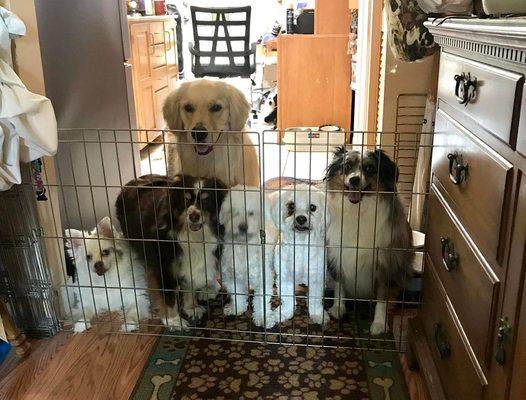 DL Folsom Air Conditioning & Heating Corp