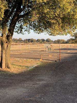 Lake Ray Roberts RV Park