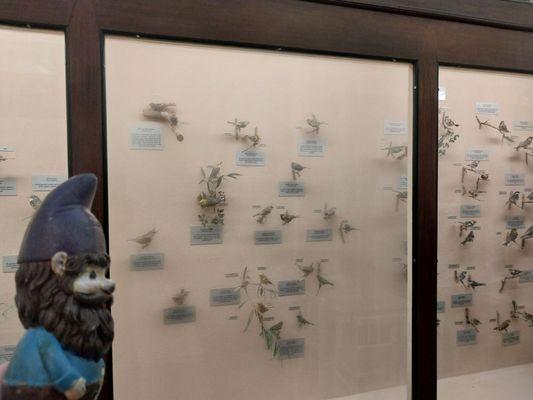 Louisiana State University