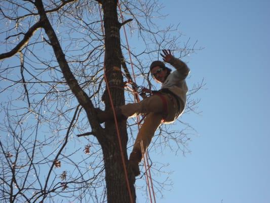 Amigo Tree Service