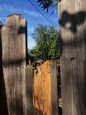 HomeGuard Incorporated