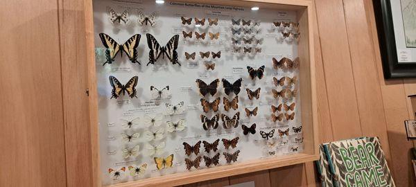 Darrington Ranger Station