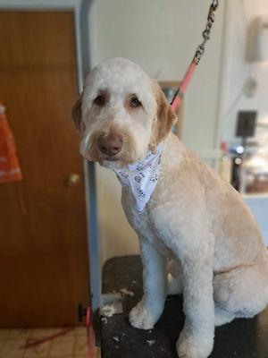 Ellie's Muttley Crue