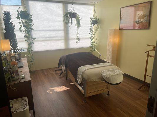 Taylor Therapeutic, CMT