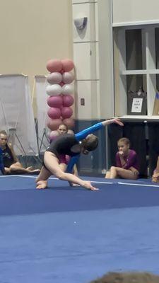 Naples Progressive Gymnastics Center