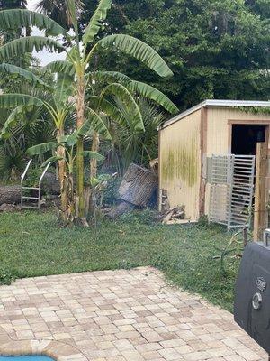 All Family Tree Service