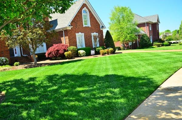 Top Cut Lawn Care