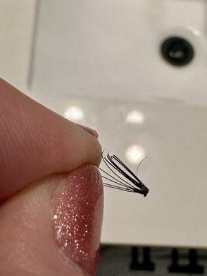 A cluster that was attached incorrectly to one real lash