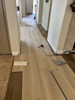 Lewis & Lewis Carpets