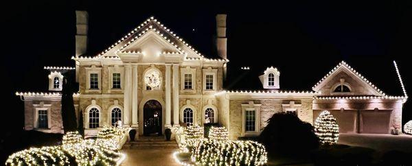 A & A Wildlife and Home Solutions