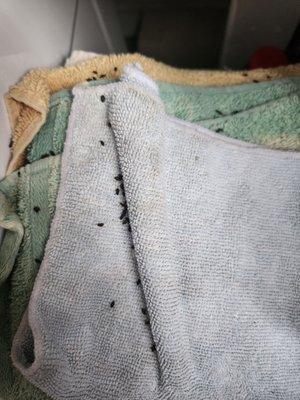 KNM Property Management