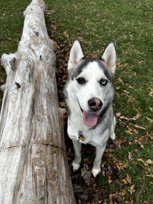 Memories Captured by Bree