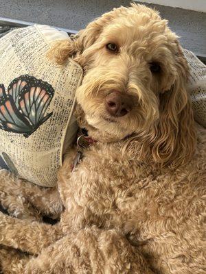 Granville Thrift Shop