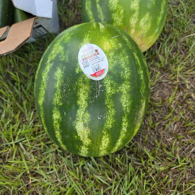 Pearson Market and Livestock Auction