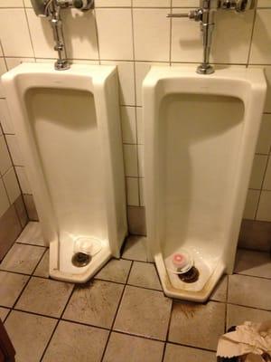 Um.... You're joking, right?!