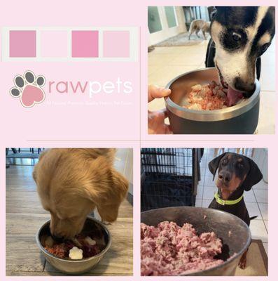 Raw Pets